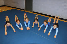 Image result for Farnham Gymnastics Club