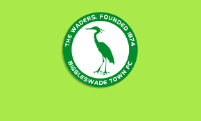 Image result for Thorpe Green Fc