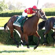 Resultado de imagen para sliced horse