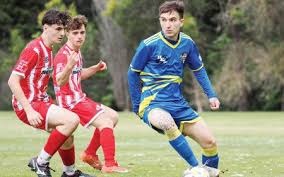 Image result for hallcross jfc