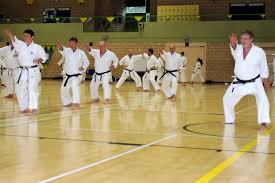 Image result for Addlestone Shotokan Karate Club