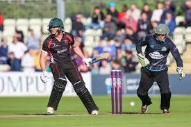 Image result for Wells Cricket Club