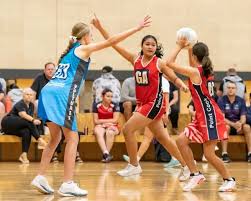 Image result for Wyvern Ladies Netball Club