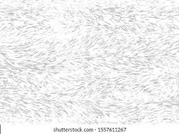 Image result for white rabbit skin texture