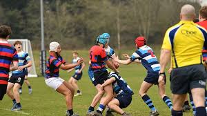 Image result for Reigate Rugby Football Club
