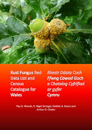 Attēlu rezultāti vaicājumam “Milesina murariae”