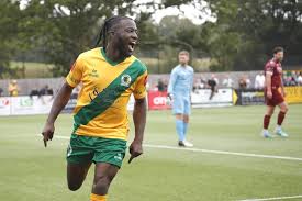 Image result for Virginia Water Fc