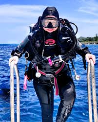 Image result for skiptondivers