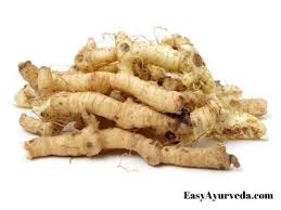 Attēlu rezultāti vaicājumam “Polygonatum verticillatum fruit”