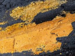 Attēlu rezultāti vaicājumam “Crustoderma dryinum”