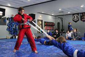 Image result for Combined self defence arts
