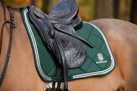 Image result for Patchett`s Green Riding Club