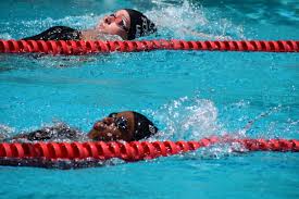 Image result for Thornaby Amateur Swimming Club
