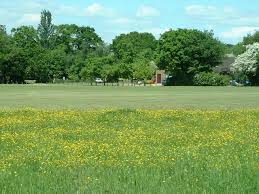 Image result for Mytchett Centre Football Club