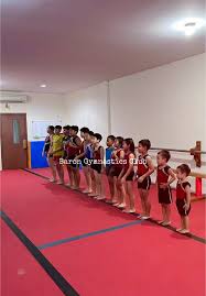 Image result for Alton Gymnastics Club