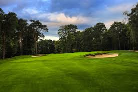 Image result for Byfleet Cricket Club