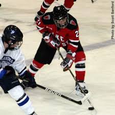 Image result for Pontypool Skater Hockey Club
