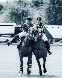 Image result for Liverpool Equestrian Club
