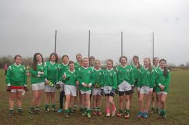 Image result for Shamrocks Hurling & Football Club