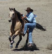 Image result for Kings Ranch Riding School/Club
