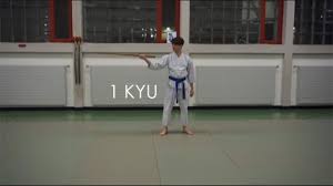 Image result for Kyu Shin Kan, Leicester Aikido