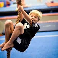 Image result for Maple Gymnastics Club