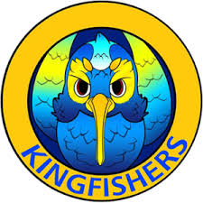 Image result for Kingfishers Netball Club