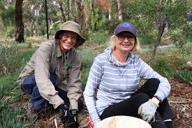 Image result for Heathervale Fc