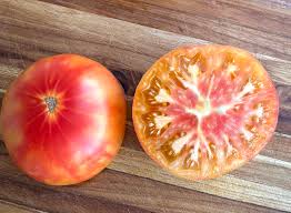 Afbeeldingsresultaat voor northern lights tomato