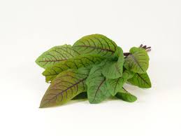 Image result for Sauerampfer