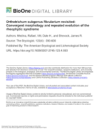 Attēlu rezultāti vaicājumam “Orthotrichum cupulatum var. riparium”