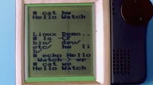 Image result for Linux watch