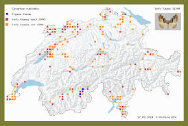 Attēlu rezultāti vaicājumam “Catarhoe rubidata”