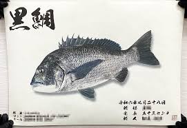 「魚拓」的圖片搜尋結果