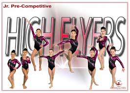 Image result for Hull High Flyers Gymnastics Club