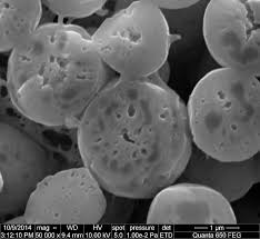 Attēlu rezultāti vaicājumam “Diderma spumarioides macro”