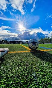 Image result for Frensham Football Club