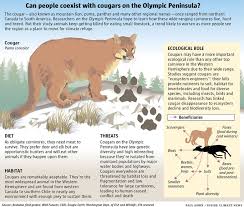 Image result for Craigmount Cougars