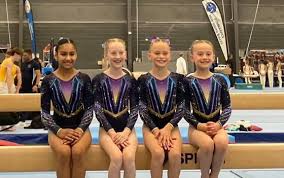 Image result for Tamworth Olympic Gymnastics Club
