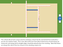 Image result for Pitch marking blog