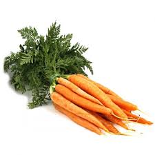 Image result for Möhren