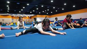 Image result for Scorpion Martial Arts Academy