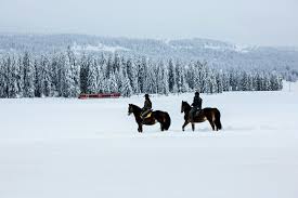 Image result for vallorbe tehron