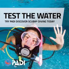Image result for Bedford Scuba Divers