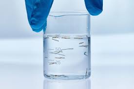 Image result for Yngelfoder