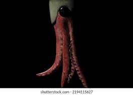 Attēlu rezultāti vaicājumam “Endoceras”