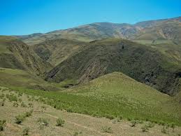 Výsledek obrázku pro yungas