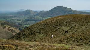 Image result for Long Mynd