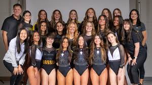 Image result for Hemsworth Odyssey Gymnastics Squad
