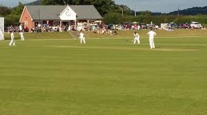 Image result for Brandon Cricket Club